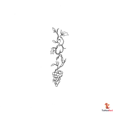 Vintage grape vine tattoo with twisting branches and grapes in bold outlines.